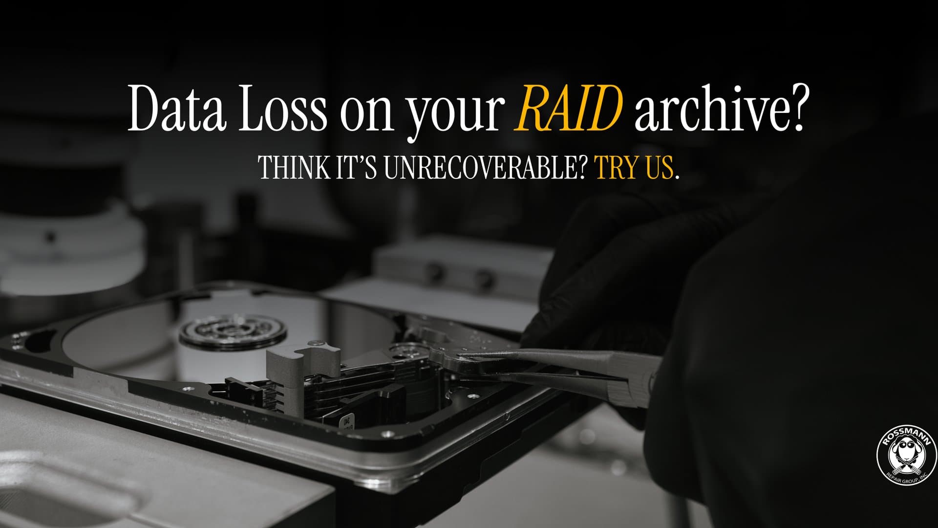 RAID data recovery cover